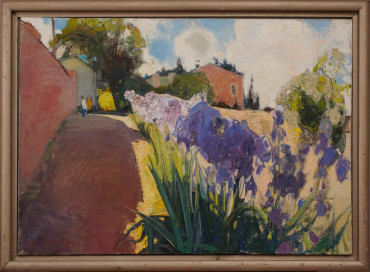 Ирисы Шипилин Игорь